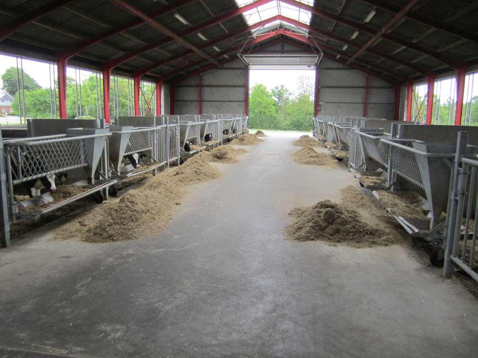 Produktionen Mælkeproduktion 320 årskøer 10.