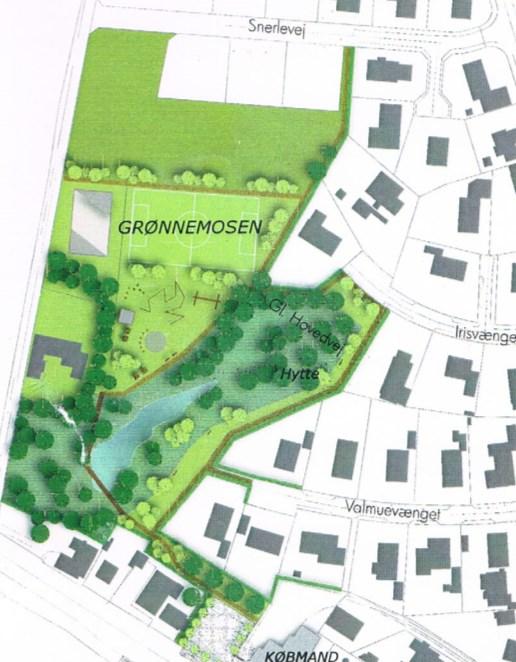 Bålhytte og multibane I 2009 blev der som følge af flere arbejdsgruppers arbejde lavet en Udviklingsplan for Rørup Sogn. Heri skitseredes bl.a. en plan for et rekreativt område i Grønnemosen.