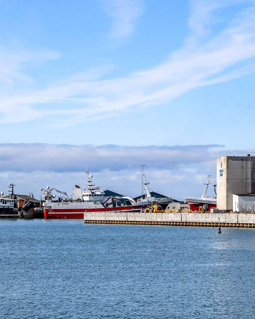 Ny 130 m Oliekaj er klar til brug i august Første etape af byggeriet af de nye lossekajfaciliteter ved TripleNine A/S følger planen. Thyborøn Havn udvides kraftigt.