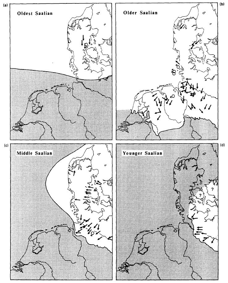 lejringer med grus, sten og blokke fra Saale kendes således fra Horns Rev området (Larsen, 2003; Larsen & Andersen, 2006; Jensen et al.