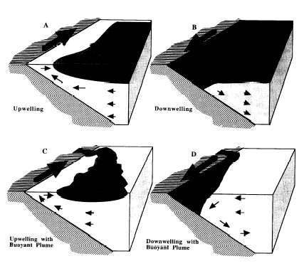 Fødevaresikkerhed ved produktion af muslinger Fra: P. J. S. Franks 1995. IOC HAB Manual 1 st ed. Figur 9.1. Hydrografiske fænomener som kan bidrage til at skabe heterogene forhold I en kystnær vandmasse, Franks 1995.