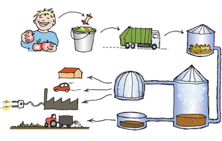Men hvad med alle madresterne? Hvad kan de bruges til? Det organiske affald laves om til både biogas og gødning.