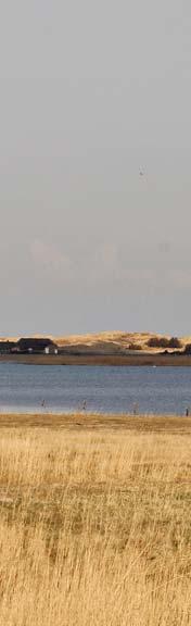 Ringkøbing-Skjern Kommune ønsker derfor mulighed for at bruge de nye muligheder i lovgivningen til at videreudvikle kystturismen.