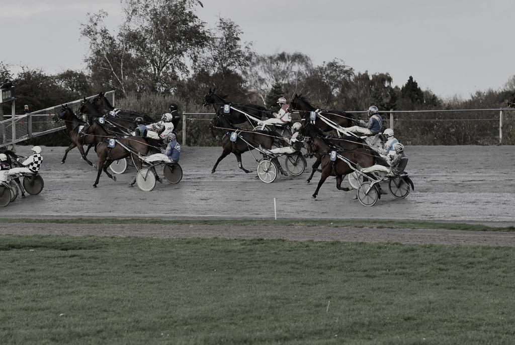 FYENS VÆDDELØBSBANE / BANE 05 / SØNDAG 22. SEPTEMBER 2019 13 VINDERCHANCE ELLER OUTSIDER? Få trænernes vurdering af hestenes chancer under punktet trænerkommentarer på fasttrackracing.