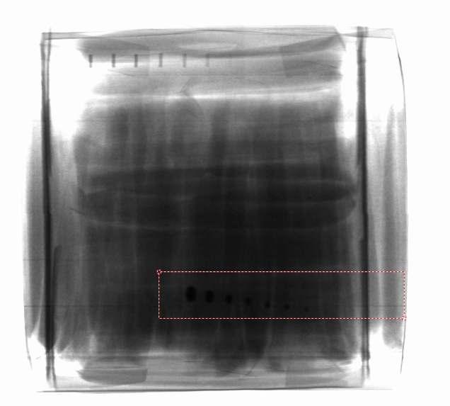 Fig. 3. Røntgenbillede af to stablede kartoner med 50 grams kaffepulver poser, med indlagte testark med fremmedlegemer: rustfri stålwire (fra 0.9 x 5.0 mm ned til 0.2 x 5.0 mm), rustfri kugler (Ø 0.