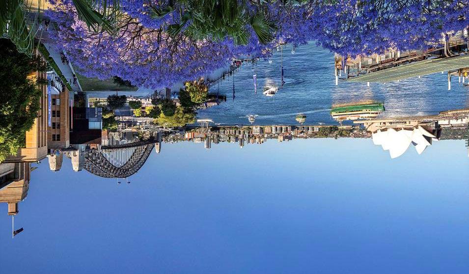 Vidunderlige Sydney med Harbour Bridge og Opera House Måltider inkluderet: Morgenmad på hotellet og forplejning på flyet Overnatning: Rydges World
