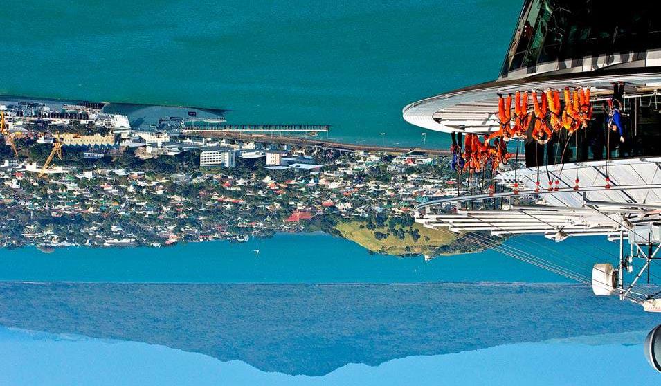 'Udsigt' fra Aucklands Sky Tower ha. også den største. Parken er anlagt rundt om en udslukket vulkan og byder på tropiske haver, andedamme og offentlig kunst.