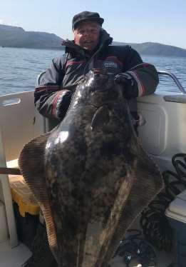 Kveiten på 105cm blev taget under torskefiskeri, så det var en overraskelse da den flade fisk pludselig viste sig i overfladen.