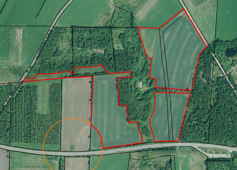 De røde linjer markerer arealer til skovrejsning. Den orange linje angiver beskyttelseslinjen for en gravhøj.