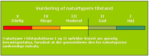 Struktur- og artsindeks for den enkelte naturtype vægtes sammen til naturtypens tilstandsklasse på arealet.