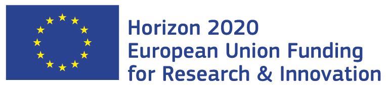 Det Europæiske Forskningsråd (EFR) Standardtilskudsaftale enkeltmodtagere EFR Proof of Concept (H2020 Standardaftale om EFR's PoC-tilskud enkeltmodtagere) Version 4.0 27.