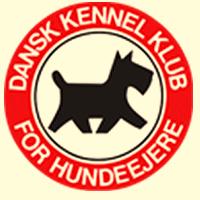 Hundens reg.nr: DK17247/2015 DKCH INTCH Hundens navn: Warming Black Naya ID nr.