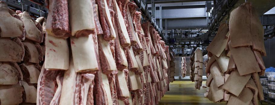 EKSPORT OG IMPORT AF GRISEKØD Danmarks eksport af grisekød til 3.-lande (tons) 2017 Tons Kina Hong Kong Japan Australien Øvrige 3.-lande I alt 3.-lande Biprodukter 163.949 2.488 521 24.023 190.