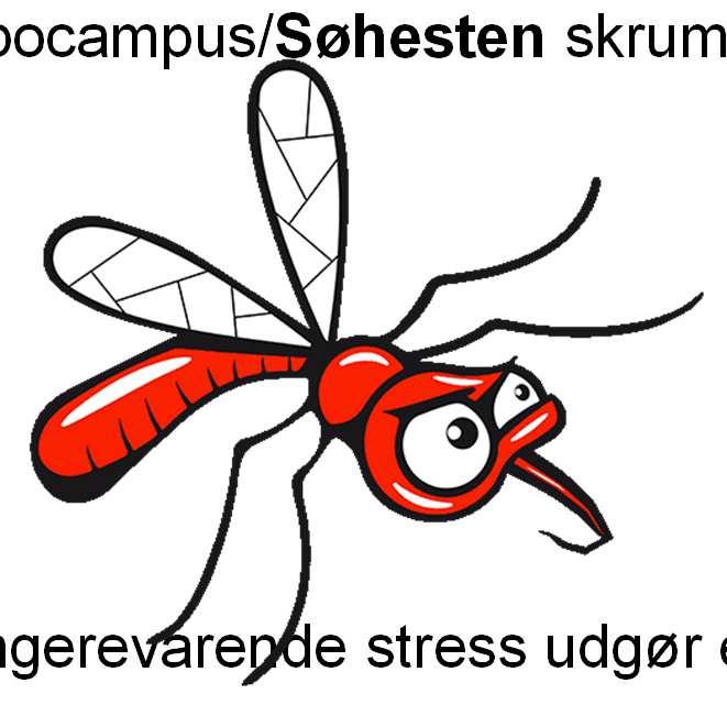Stress forplanter sig i nervesystemet Over længere tid kan stress og øget arousal overaktiveres amygdala/myggen, så den