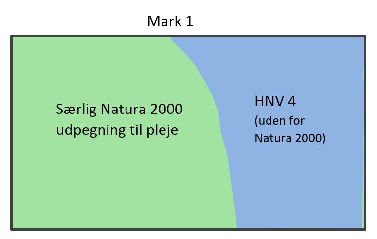 FIGUR 2.1. Mere end 50 % af marken ligger inden for den særlige Natura 2000-udpegning til pleje. Marken opfylder derfor kravene til, at der kan ansøges om tilskud under dette kriterie.