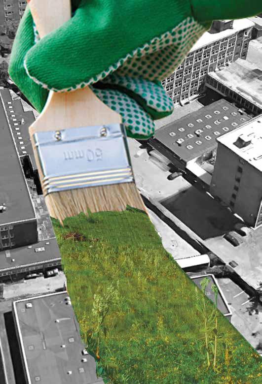 mal byen grøn Amager Vest Lokaludvalgs grønne høringssvar til Københavns Kommunes Kommuneplan 2019 Når vi taler med borgerne i Amager Vest, fylder en grøn og bæredygtig by meget.