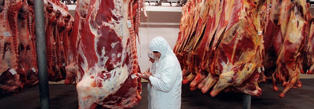 5. Slagtning i Danmark Du kan kun få slagtepræmie for dyr, der slagtes på et autoriseret slagteri eller et godkendt slagtested 27.