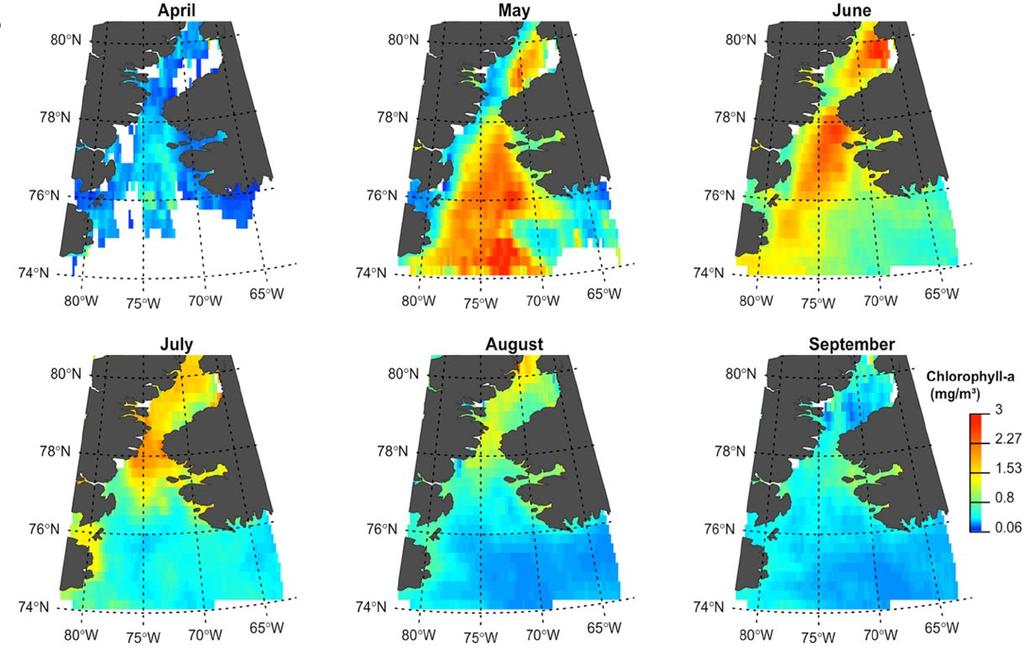 Figur 4. Sæsonmæssig udvikling i fytoplanktonopblomstringen i Nordvands-regionen baseret på remote sensing-estimater af klorofyl a-koncentrationen.