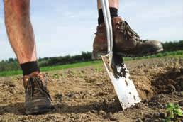 Ved at grave et test-hul kan man bedømme jordbundens tilstand og indstille grubberens arbejdsdybde i forhold til dette.