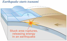 jordskælv. Risikoen for at udløse en tsunami stiger med et jordskælvs styrke men afhænger også af dets dybde.