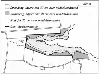 Figur 11: Strandengens vegetationszoner og deres forskydning ved stigning i havets middelvandstand på henholdsvis 25 og 50 cm.