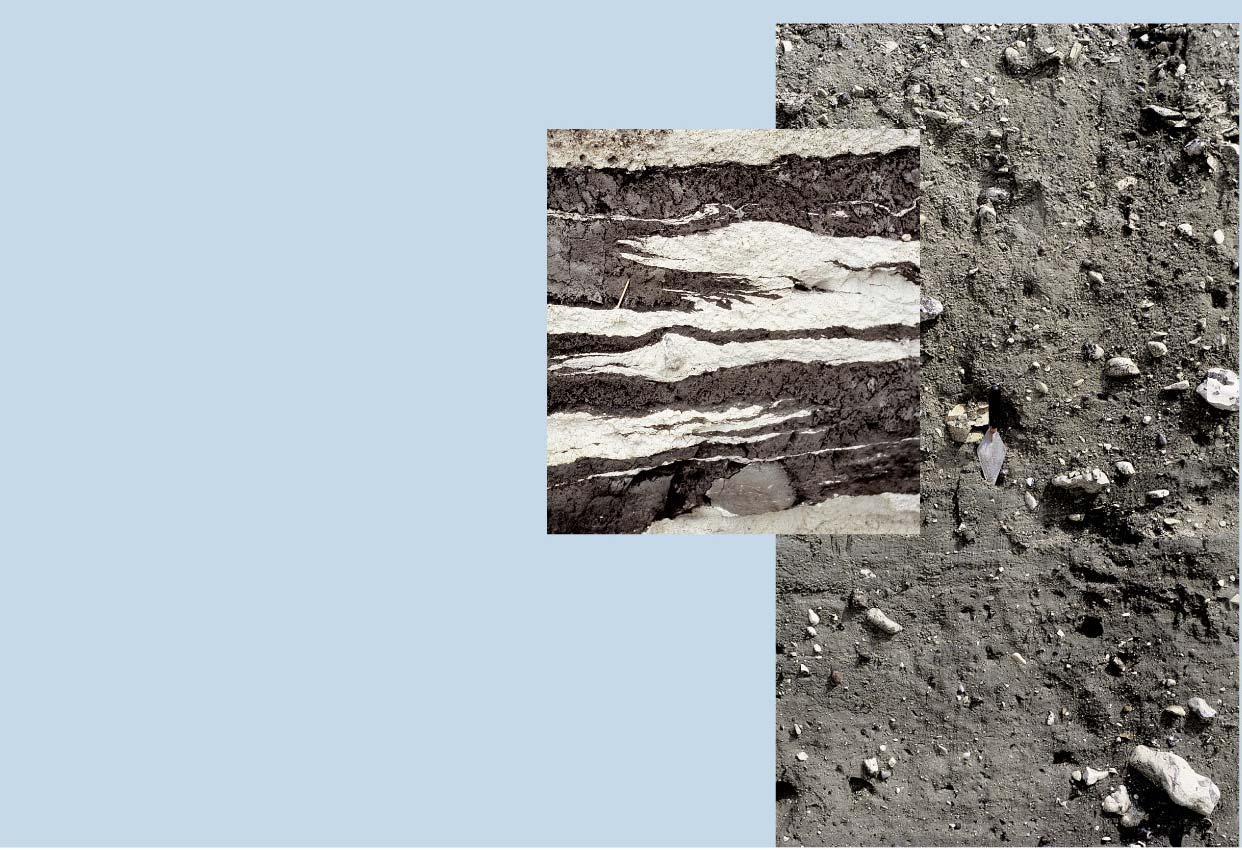 TILL I ældre dansk litteratur er moræne dels en betegnelse for gletscheraflejrede sedimenter, der består af en blanding af ler, silt, sand, grus og sten, dels en betegnelse for landskabstyper, der