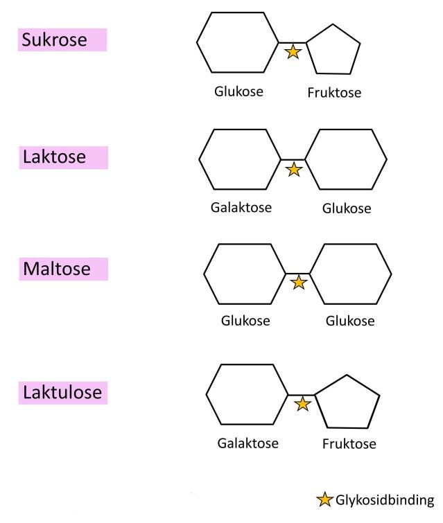 Består af et galaktosemolekyle bundet sammen med et glukosemolekyle. Bruttoformel: C 12 H 22 O 11. Synonym: mælkesukker.