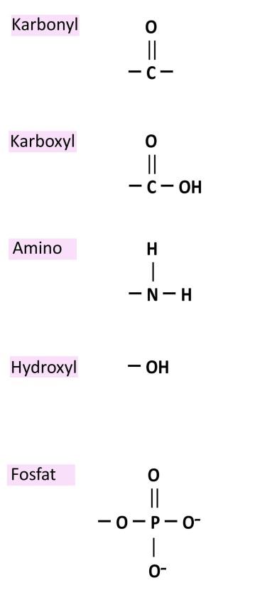 Figur 1. Nogle vigtige funktionelle grupper. De funktionelle grupper forekommer ikke alene. De udgør altid en del af et molekyle og sidder bundet til dette molekyle med en kovalent kemisk binding.