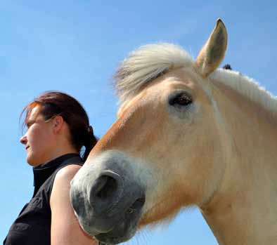 Heste og mennesker er to meget forskellige arter. Heste er flugtdyr, går på fire ben, har sidestillede øjne, er planteædere og kommunikerer primært ved hjælp af kropssprog.