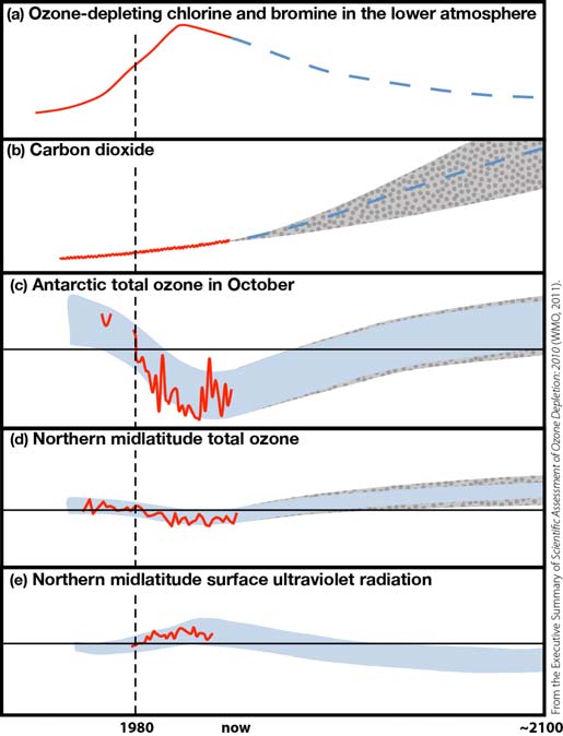 Figur B7 (fra WMO, 2011) viser i skematisk form indflydelsen af de ozonnedbrydende stoffer (ODS) og klimaforandringer på ozonlaget og indflydelsen af forandringer i ozonlaget på UVstrålingen.