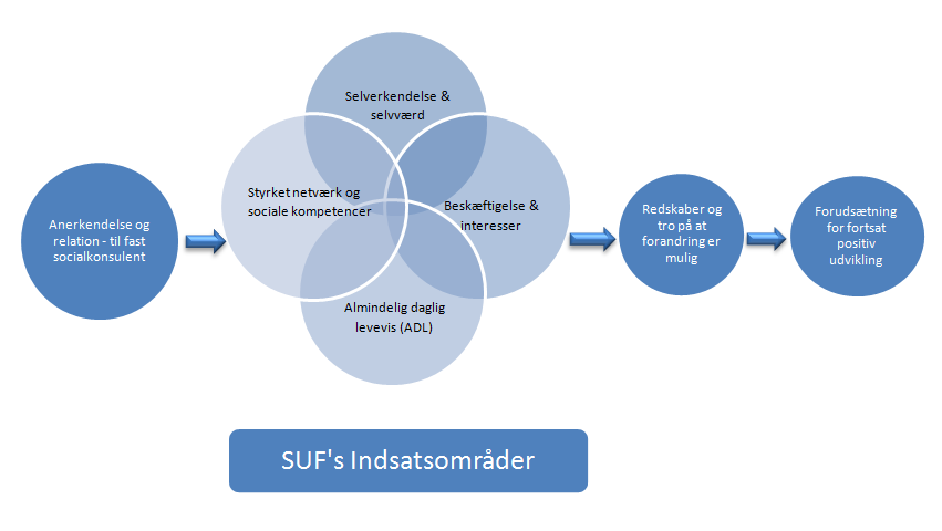 Figur 2: SUF s forandringsmodel. Modellen er blevet udviklet som et led i undersøgelsen for at illustrere, hvordan SUF arbejder.