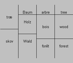 Figur 1: Hjelmslevs inddeling udvidet med engelsk (Lundquist, 2003, 39) På dansk inddeles denne meningszone på udtrykssiden i to felter, træ og skov, hvor træ betyder både gevækst og materiale, mens