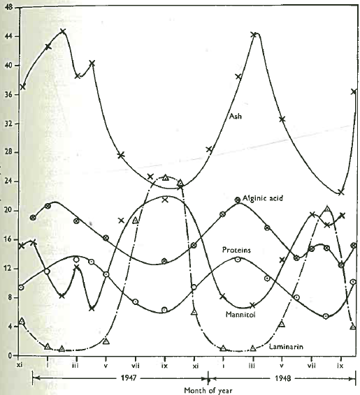 34 I figuren nedenfor ses, hvordan sukkertangens biokemiske indhold af protein, laminarin, mannitol 36, alginat 37 og aske (mineraler) varierer over året: Figur 11: Andelen af sukkertangs biokemiske