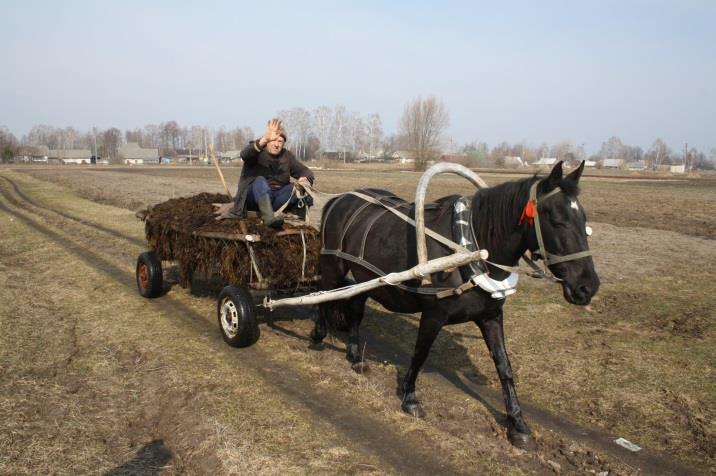 Større mængder korn og Soya kan sælges til store husdyrsfarme i Vest-ukraine.