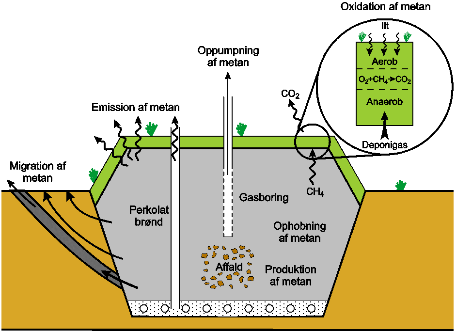 2. Gasdannelse og emission en konceptuel model Dette kapitel giver en kort indføring i de processer og faktorer, som leder til gasdannelse og emission.