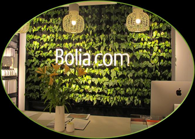 Giver også mulighed for en unik profilering af virksomhedens logo integreret i plantevæggen. I kontorlandskabet?