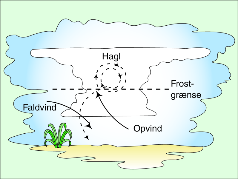 Hagl Hagl dannes, når underafkølede skydråber forstyrres og fryser til is. Haglene vokser, når de støder sammen med flere underafkølede dråber der bliver lagt lag på lag.