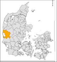 Ringkøbing-Skjern Kommune Ringkøbing-Skjern Kommune er Danmarks geografisk største