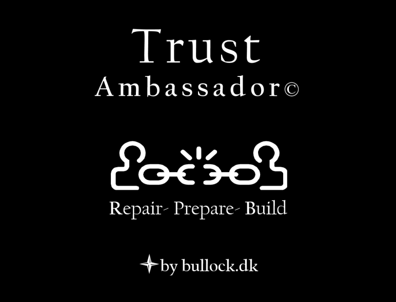 I over 14 år har jeg ført medarbejdere, mellemledere og direktører igennem den viden som TRUST Ambassador bygger på.