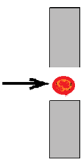 RBC & PLT kanal Måling af RBC og PLT med Impedansmetoden: Cellpack har en osmolalitet på 250 mmol/l lidt lavere end normalt blod, hvilket gør, at erytrocytterne trækker vand ind i cellerne og MCV