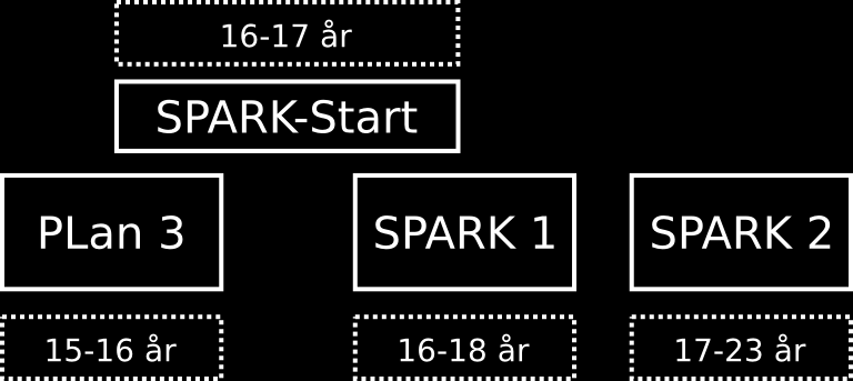 Kursusoverblik SPARK-kurserne er kurser for seniorer og er en del af en rød tråd for ungdomskurserne, der startende fra det sidste i rækken af tropskurser (PLan 3) består af følgende: SPARK er en