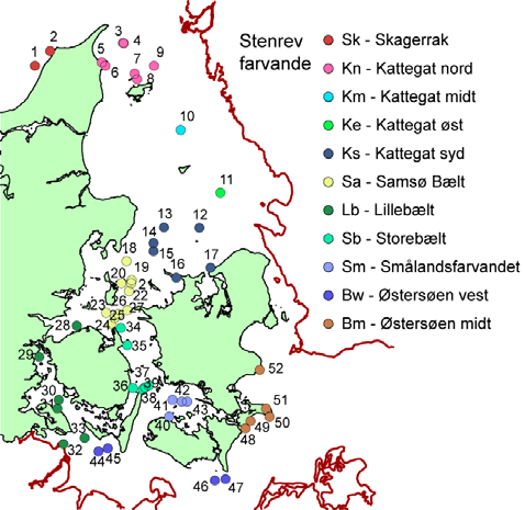 15 Stenrevsfaunaens biogeografi Steffen Lundsteen Introduktion Formålet med dette kapitel er at give et overordnet billede af, hvordan stenrevenes fauna er fordelt i de danske farvande ud fra