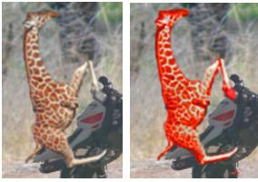 1/9 Dokumentation af næsehorn der jager giraf der kører på en motorcykel