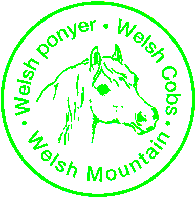 Welsh Pony & Cob Avlen i Danmark Katalog