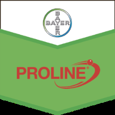 Proline + Prosaro - topresultater hvede 2012-2013 Merudbytte, hkg/ha 0.0 2.0 4.0 6.0 8.0 10.0 St 37-39 Proline 0.1 + Rubric 0.125 & st 55-61 Proline 0.1 + Rubric 0.125 St 37-39 Prosaro 0.