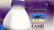Mælkeprodukter lavet af (dromedarmælk) 2.