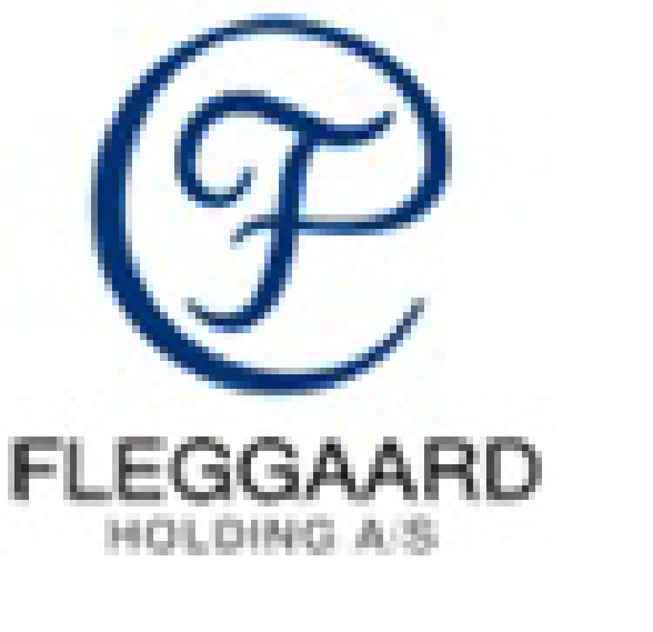 Ledelsesberetning Virksomhederne i Fleggaard koncernen Fleggaard Holding BESKRIVELSE LOKATION Fleggaard Holding er moderselskab for koncernens 10 virksomheder.