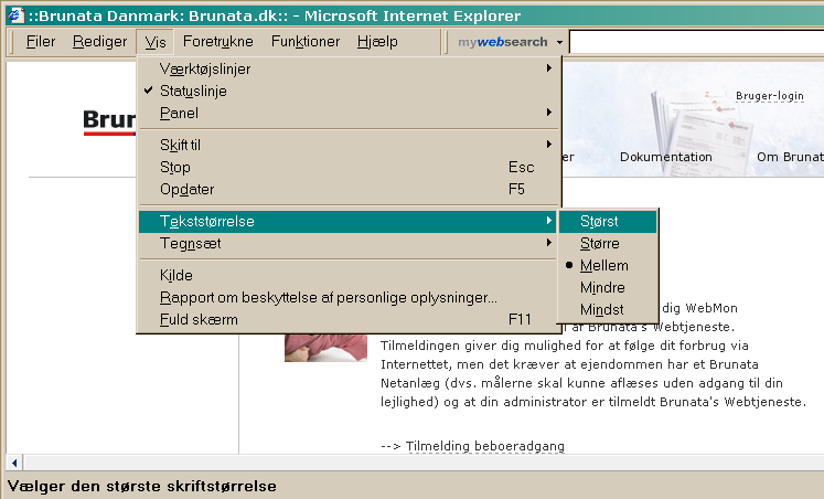 Side 3 Skift skriftstørrelse med Internet Explorer som browser Klik på Vis i værktøjslinien øverst i vinduet. Vælg Tekststørrelse og klik derefter på den størrelse tekst du ønsker.