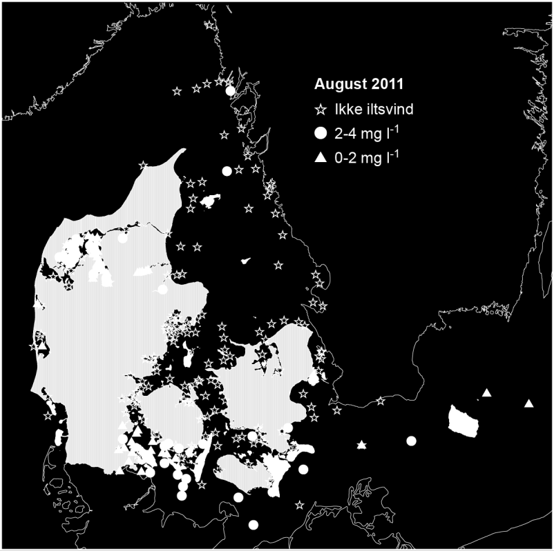 andre i løbet af oktober. I november var iltsvindet kraftigt på retur i det sydlige Lillebælt og helt forsvundet i de fleste sydjyske fjorde og kun til stede i de dybere områder af de øvrige.
