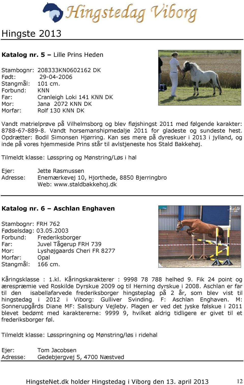 Vandt horsemanshipmedalje 2011 for gladeste og sundeste hest. Opdrætter: Bodil Simonsen Hjørring.